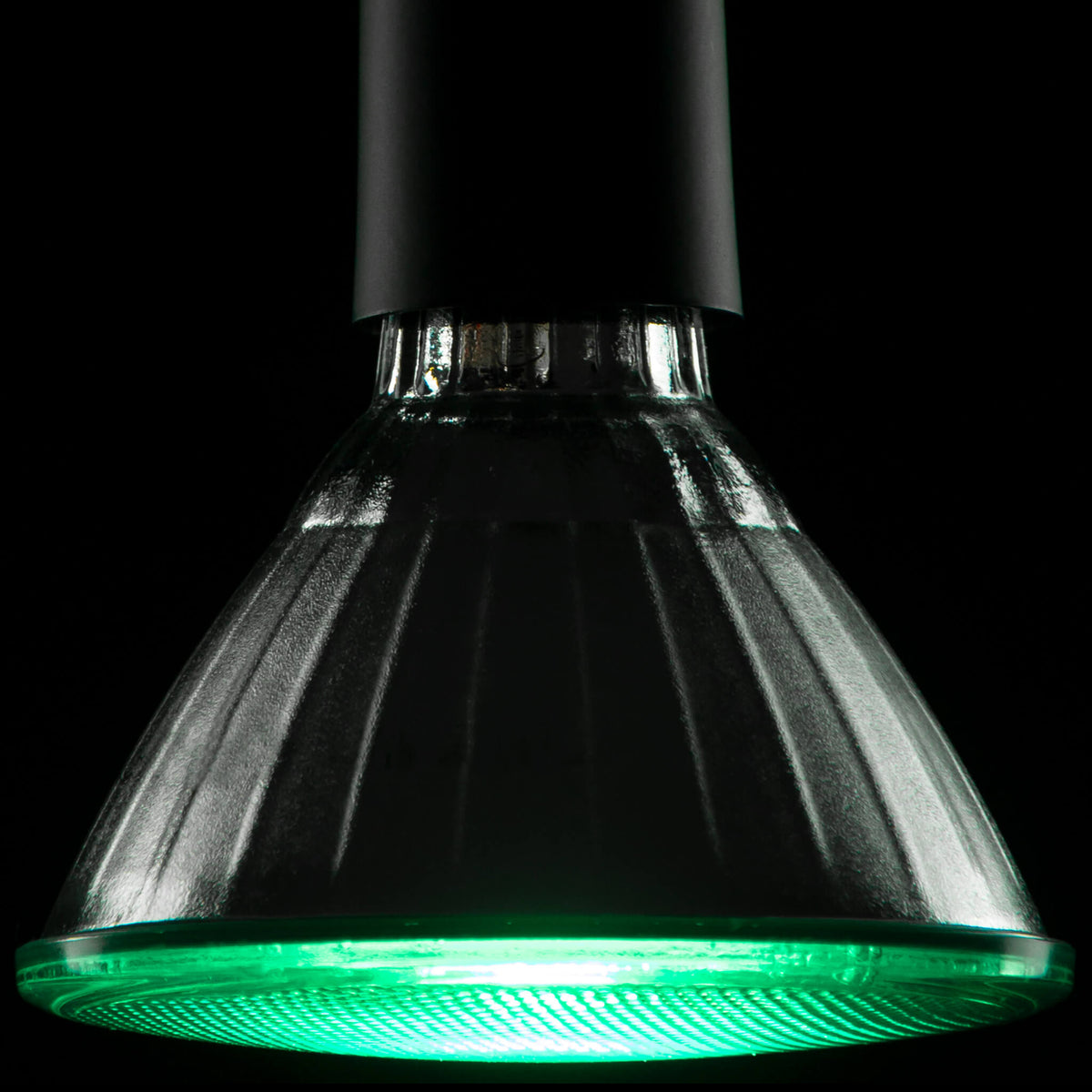 SEGULA LED Reflektor PAR 38 grün – E27, 18 W – Produktansicht 1