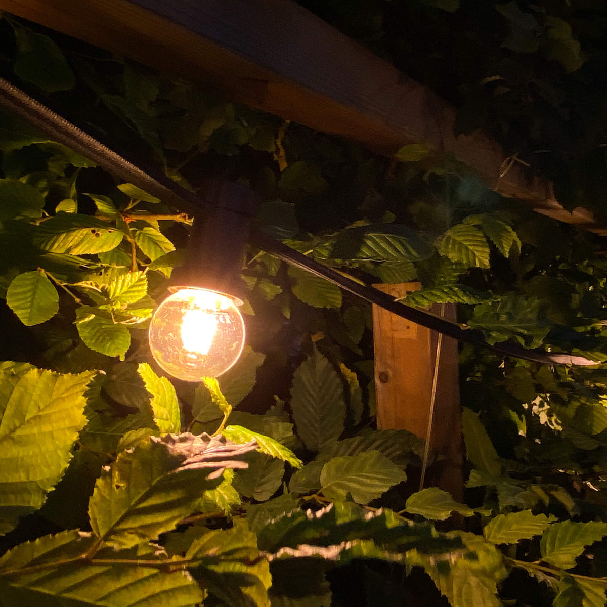 SEGULA LED Golfball Kunststoff stoßfest klar – E27, 1,5 W, 2.200 K, dimmbar – Produktansicht 4