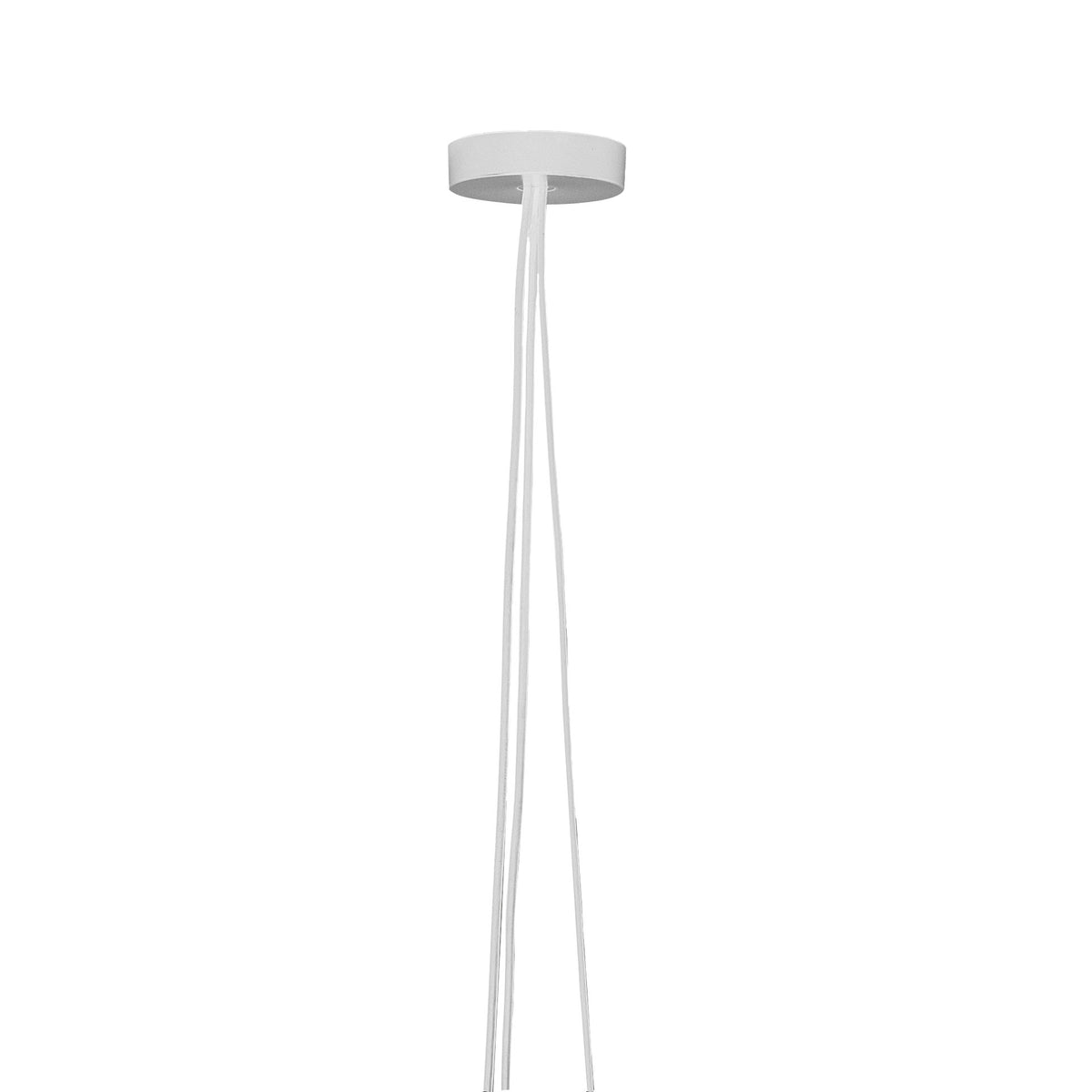 Flos Aim Multiple Rose Baldachin – White