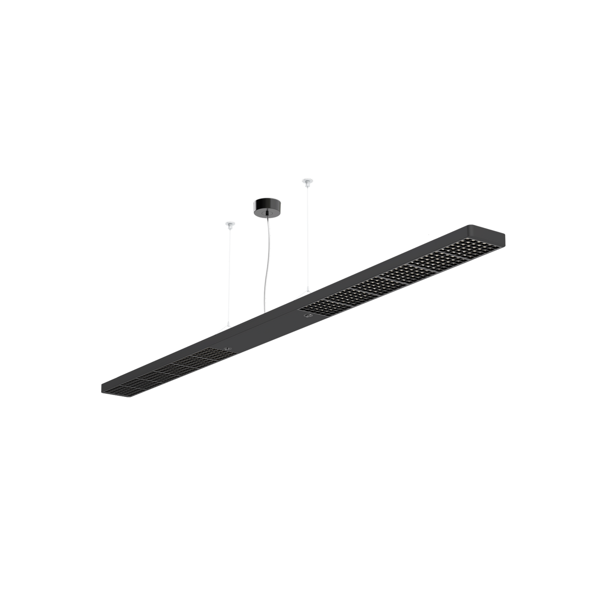 GRAU Xt-a Ceiling Deckenleuchte – Schwarz/Schwarz, 240 cm – Direktlicht Fokus