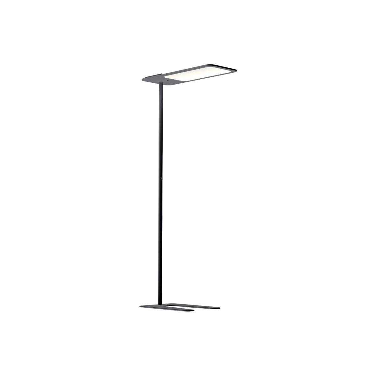 GRAU Xt-s One Stehleuchte – Anthrazit