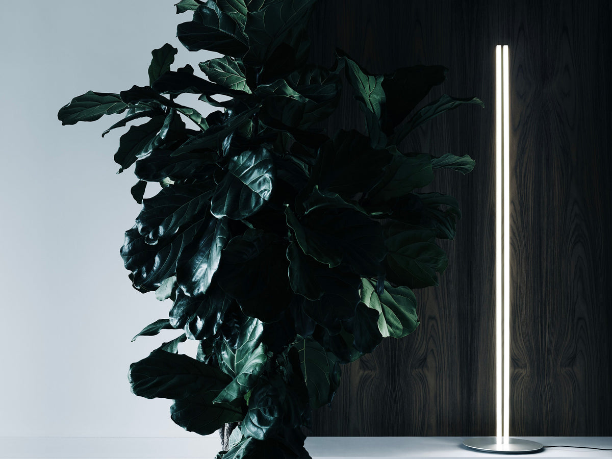 Flos Coordinates Floor Stehleuchte – Ansicht 7