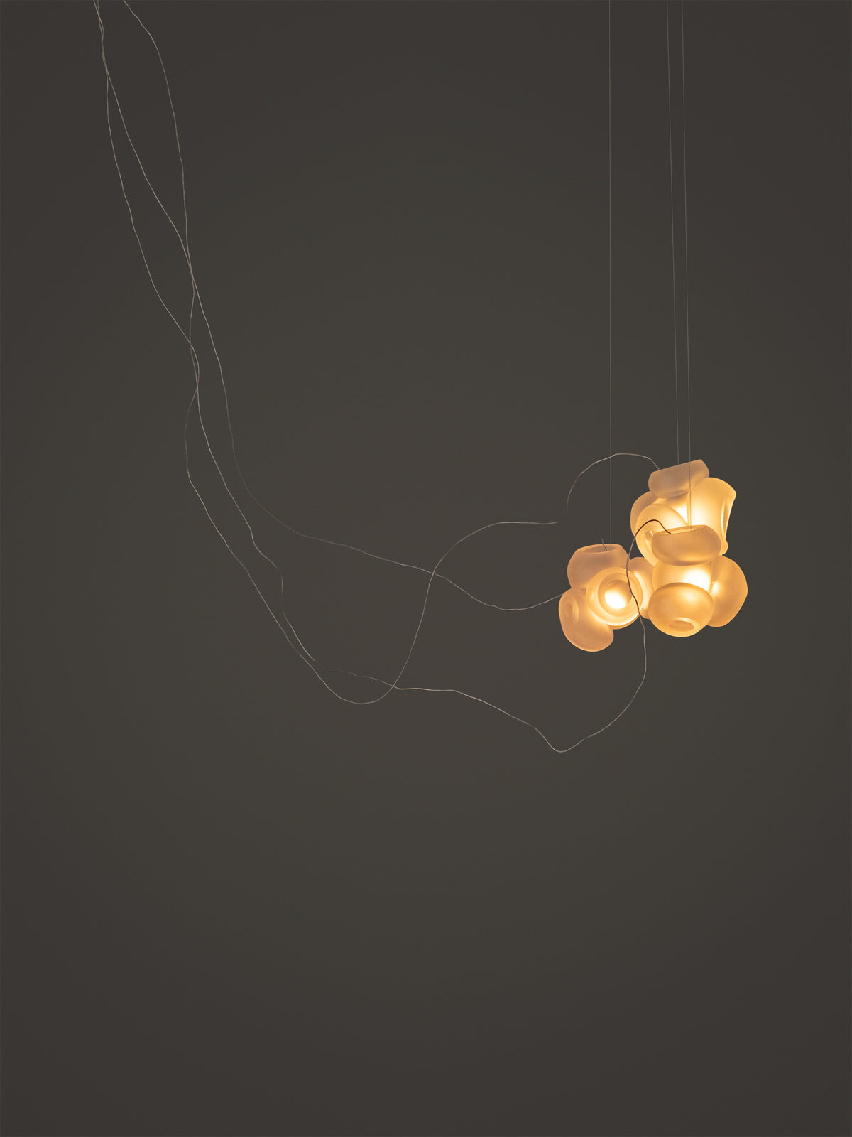 Bocci 100 Sculptural Cable Pendelleuchte – Ansicht 13