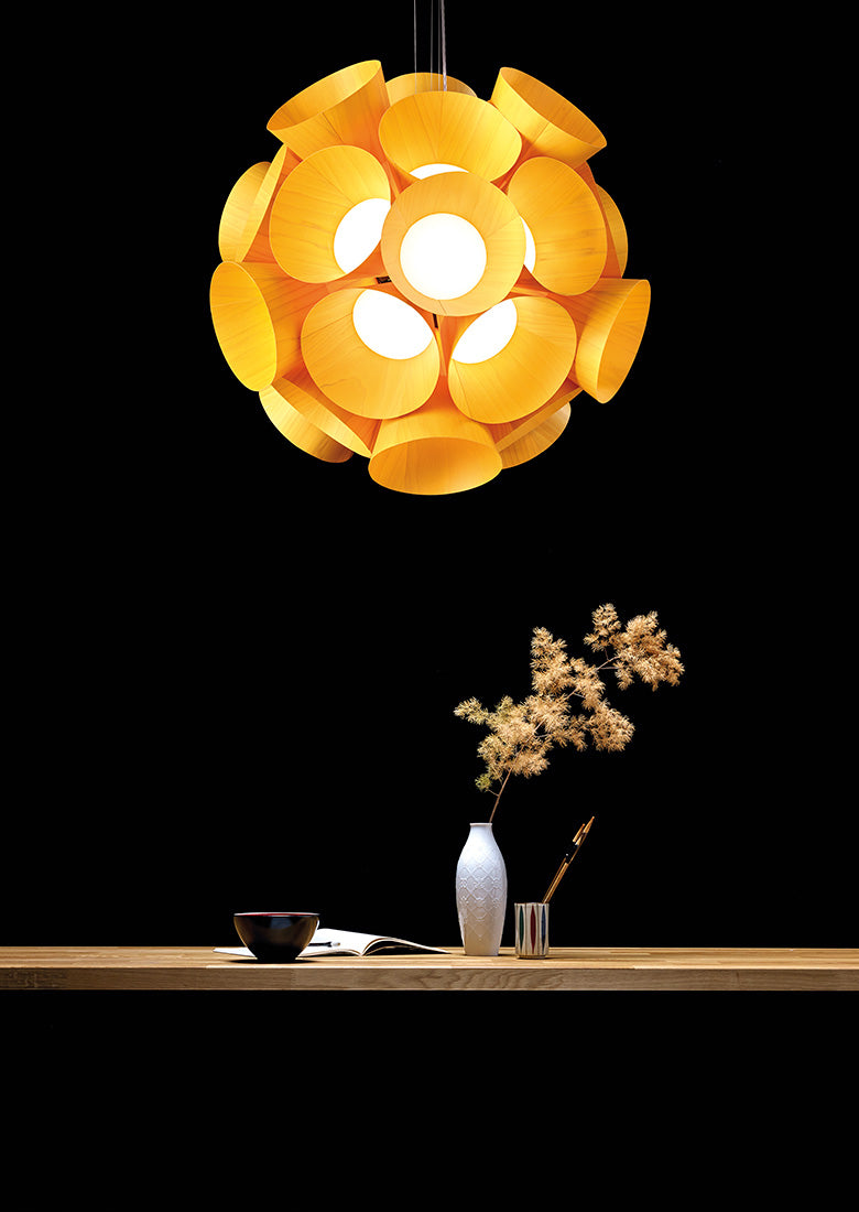 LZF Dandelion Pendelleuchte – Anwendungsbeispiel 1