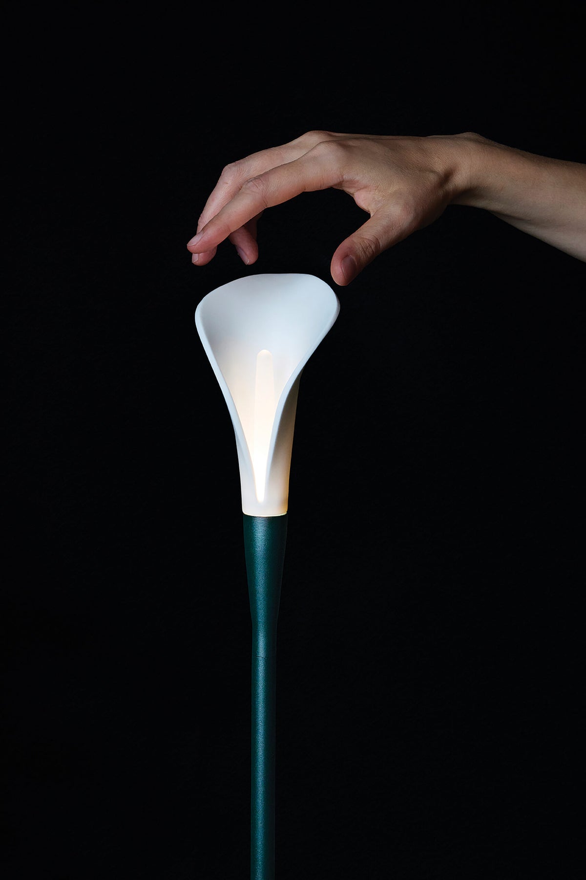 Contardi Bloom Zubehör – Ansicht 3