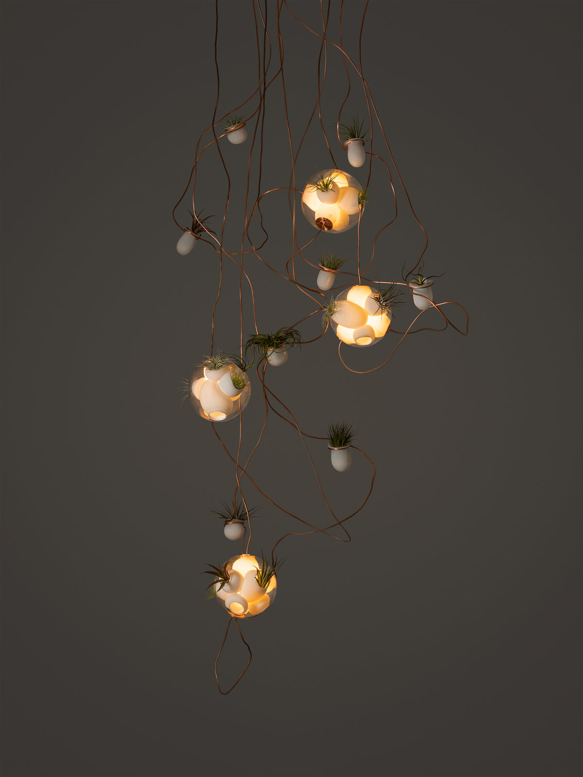 Bocci 38 Copper Suspension Pendelleuchte – Ansicht 9