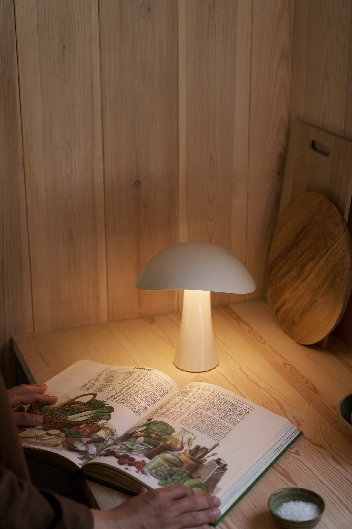 Louis Poulsen Rumee 220 Portable Leuchte – Ansicht 13