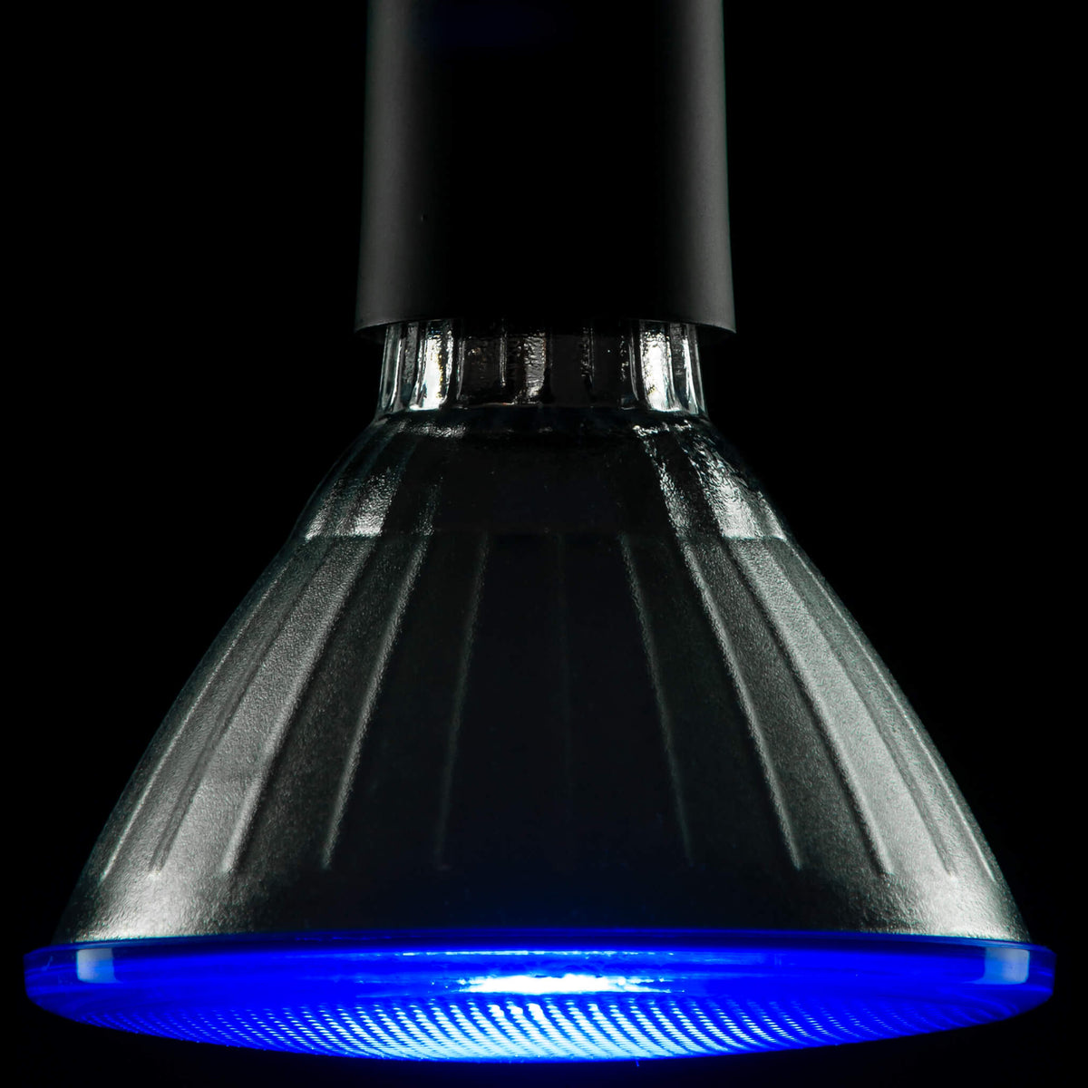 SEGULA LED Reflektor PAR 38 blau – E27, 18 W – Produktansicht 1