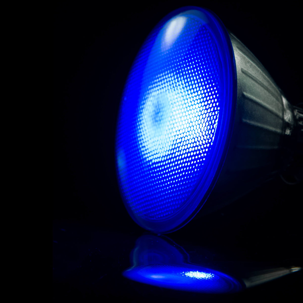 SEGULA LED Reflektor PAR 38 blau – E27, 18 W – Produktansicht 2