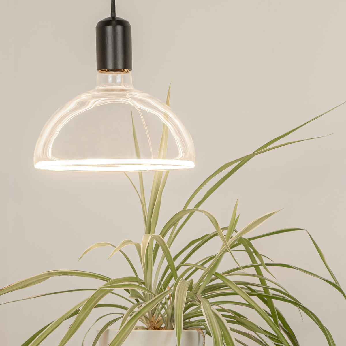 SEGULA LED Floating Bowl Ambient Dimming klar – E27, 6,2 W, 2.000 K–2.700 K, dimmbar – Produktansicht 4