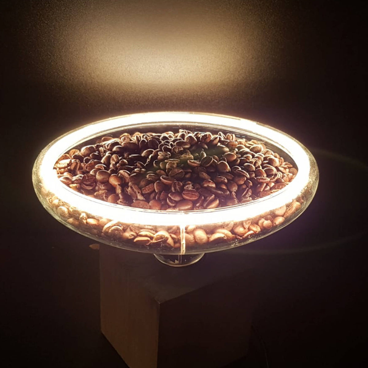 SEGULA LED Floating Reflektor R200 smokey grau – E27, 6 W, 1.900 K, dimmbar – Produktansicht 4