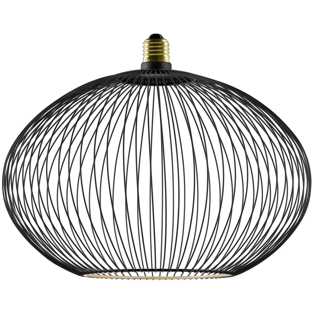 SEGULA LED Floating Filo Oval 300 schwarz – E27, 6 W, 2.200 K, dimmbar – Hauptbild