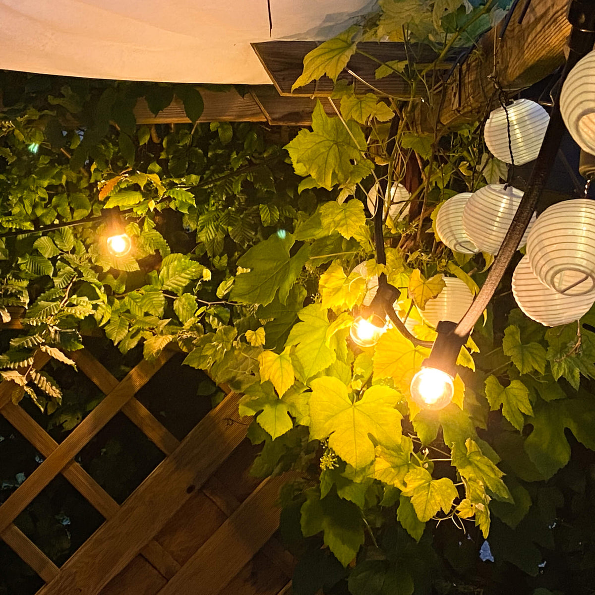 SEGULA LED Golfball Kunststoff stoßfest klar – E27, 1,5 W, 2.200 K, dimmbar – Produktansicht 5