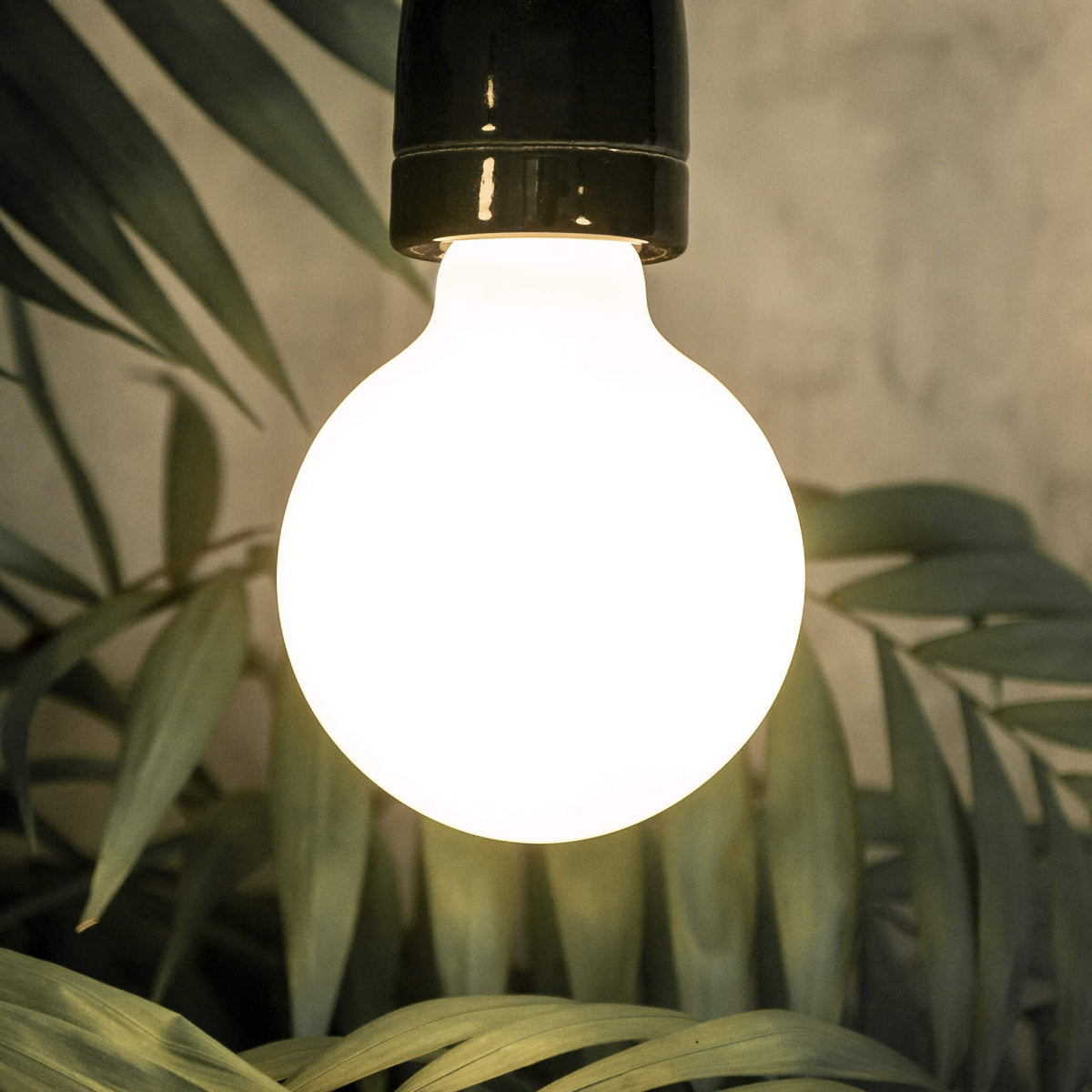 SEGULA LED Globe 80 opal – E27, 3,2 W, 2.700 K, dimmbar – Produktansicht 3