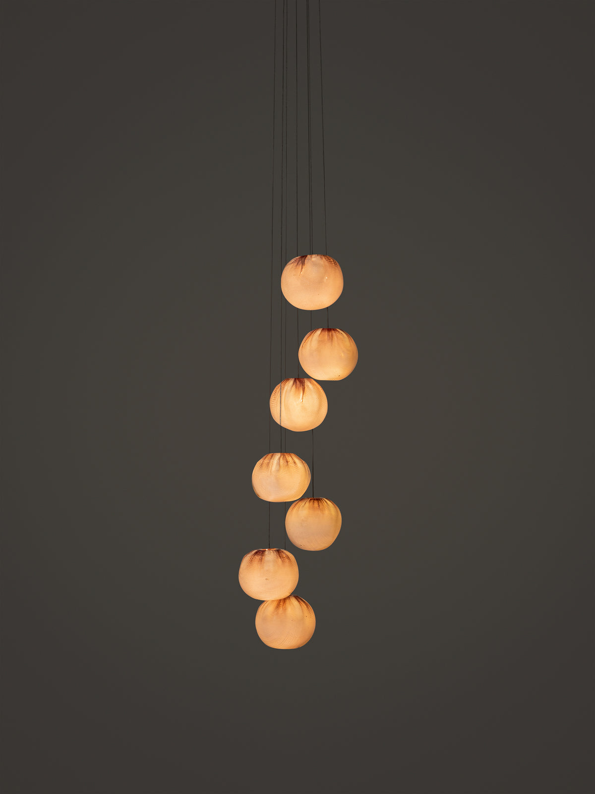 Bocci 84 Cluster Pendelleuchte – Ansicht 5