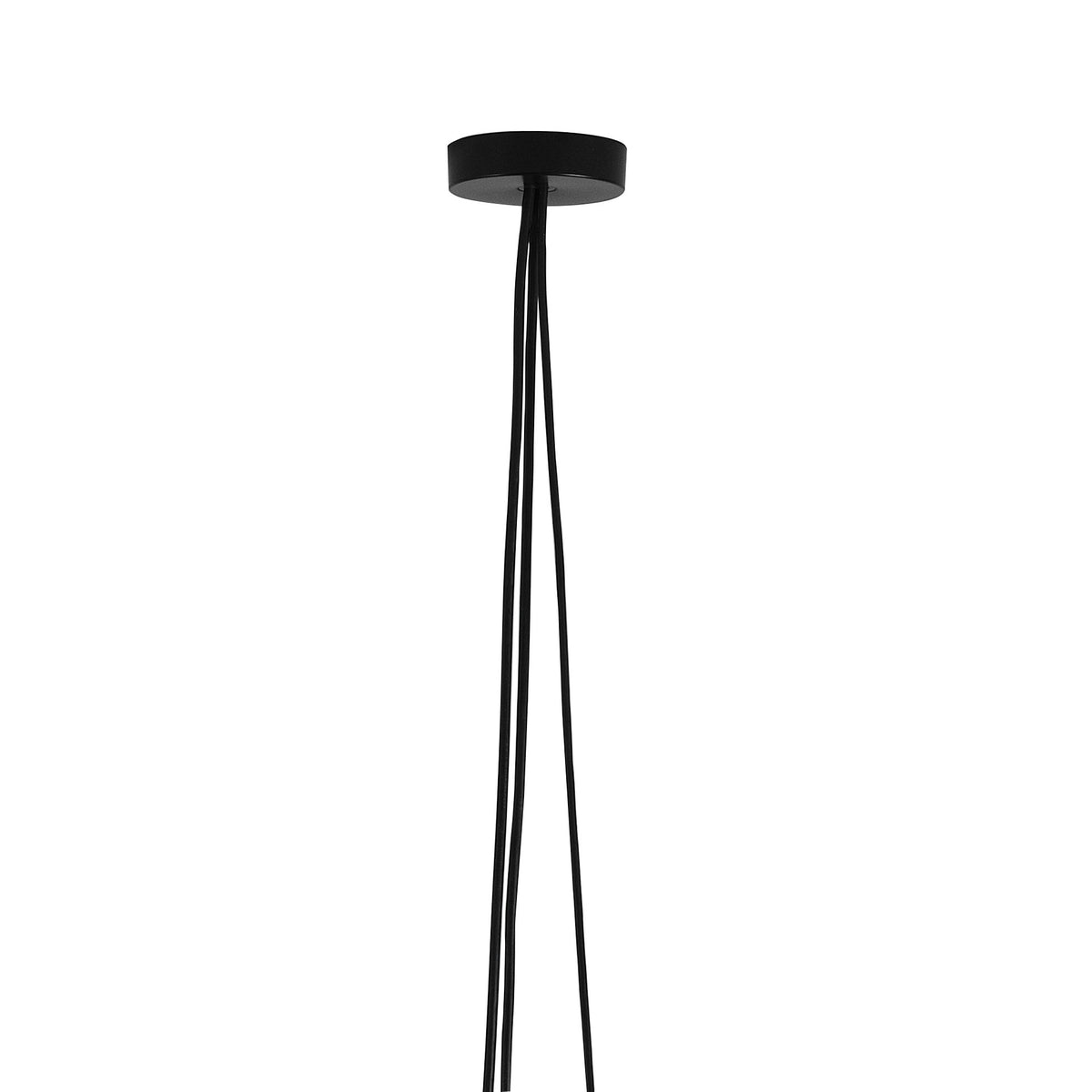 Flos Aim Multiple Rose Baldachin – Black