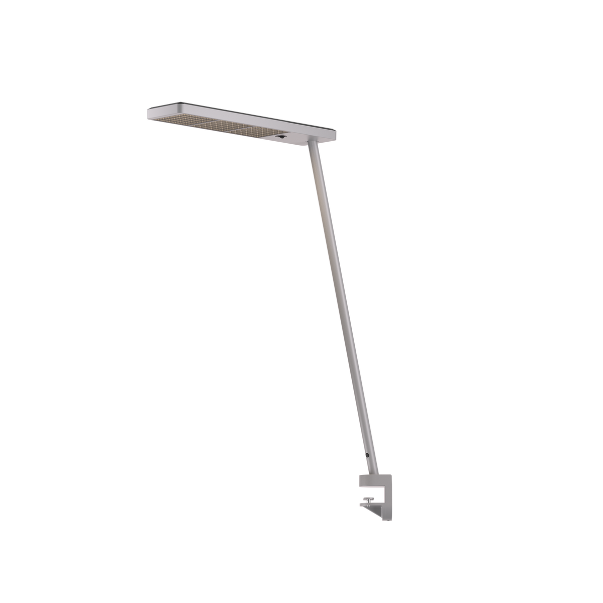 GRAU Xt-a Single Tischleuchte – Satiniert/Schwarz, Klemme