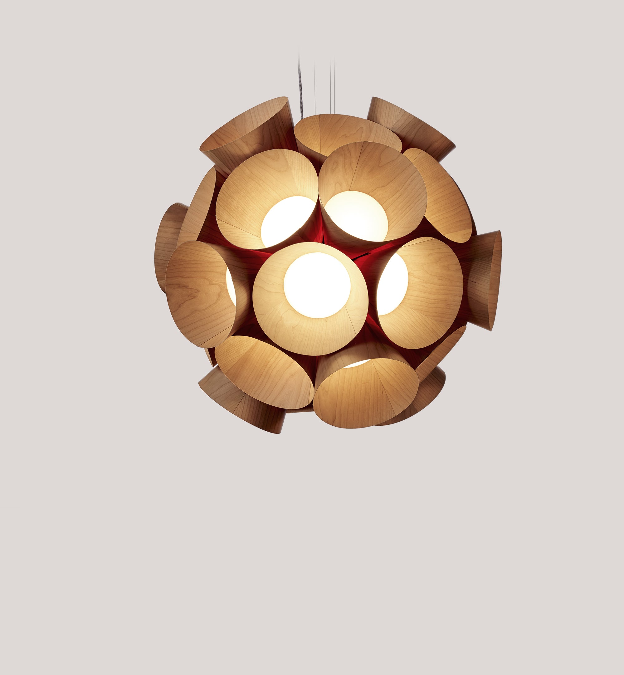 LZF Dandelion