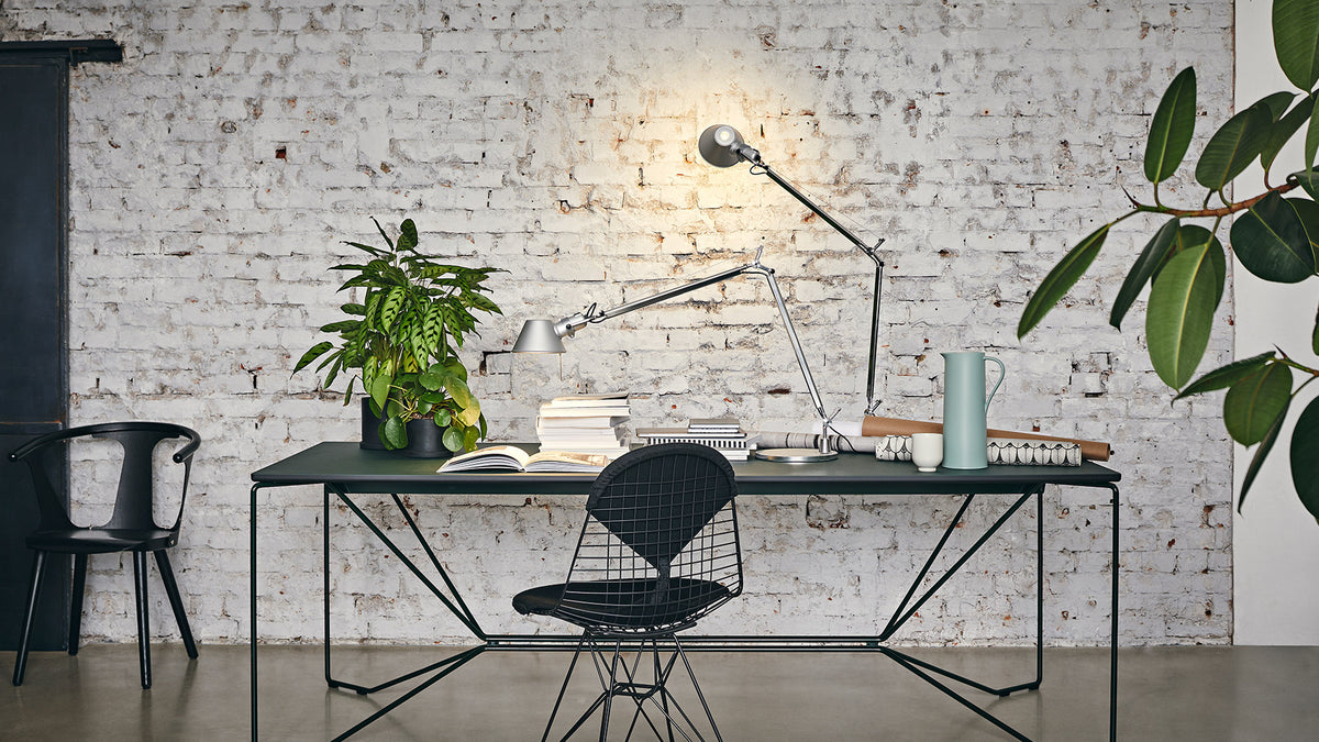 artemide banner tolomeo